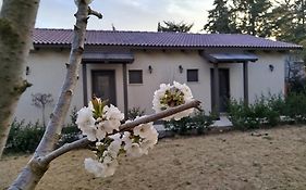 דצ'א - Дача - Dacha